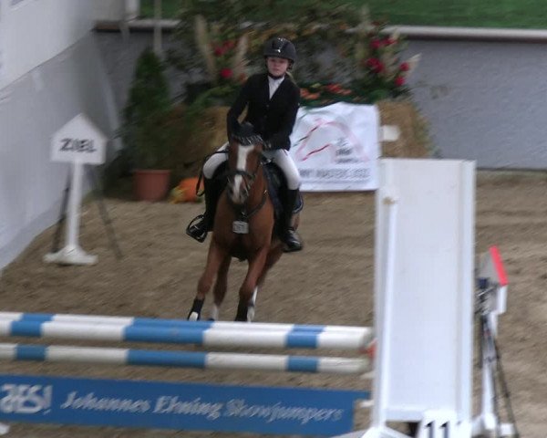 Legdener Ponymeeting 2022