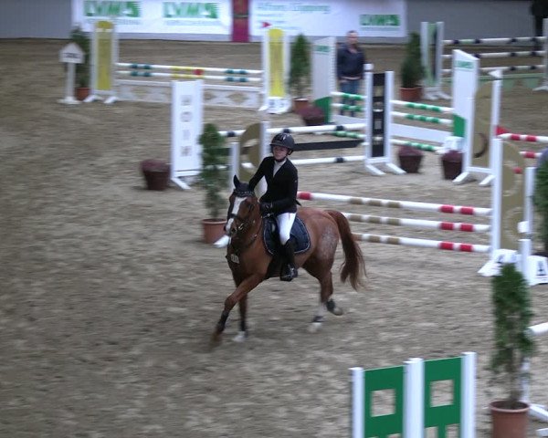 Legdener Ponymeeting 2022