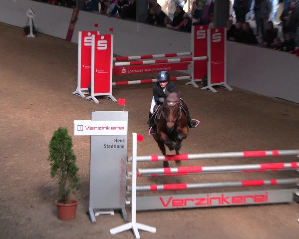 Legdener Ponymeeting 2022