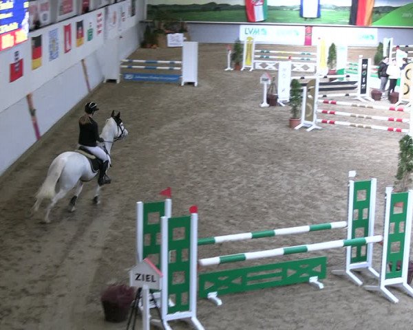 Legdener Ponymeeting 2022