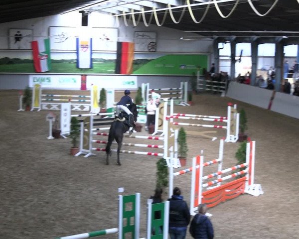 Legdener Ponymeeting 2022