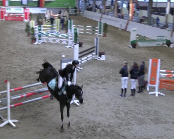 Legdener Ponymeeting 2022