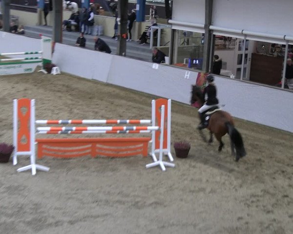 Legdener Ponymeeting 2022