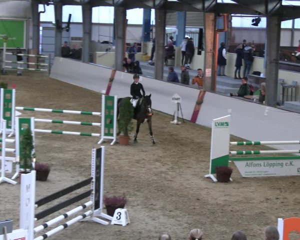 Legdener Ponymeeting 2022