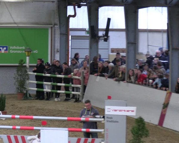 Legdener Ponymeeting 2022