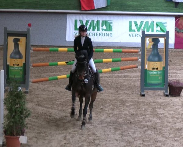 Legdener Ponymeeting 2022