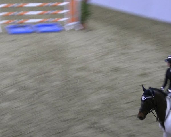 Legdener Ponymeeting 2022