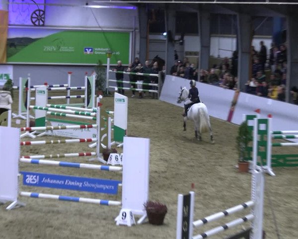 Legdener Ponymeeting 2022