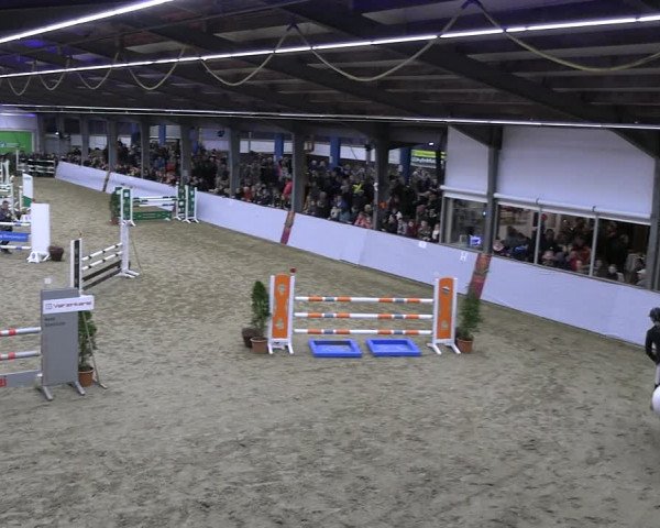 Legdener Ponymeeting 2022