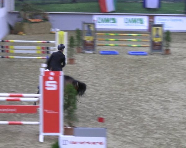 Legdener Ponymeeting 2022