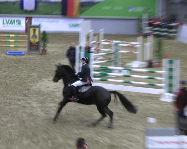 Legdener Ponymeeting 2022