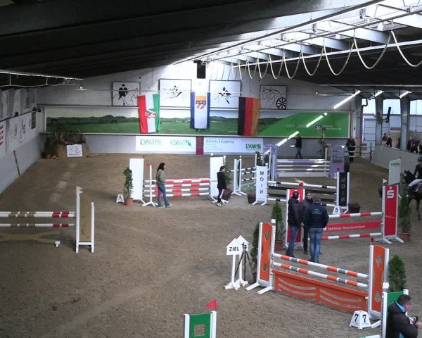 Legdener Ponymeeting 2022