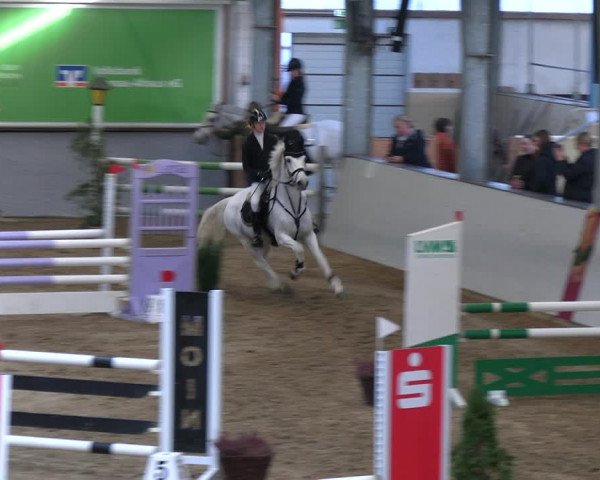 Legdener Ponymeeting 2022