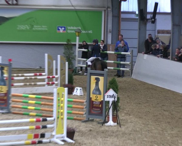 Legdener Ponymeeting 2022