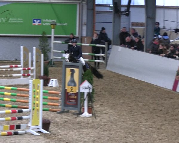 Legdener Ponymeeting 2022