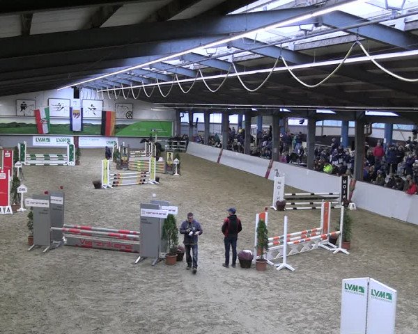 Legdener Ponymeeting 2022