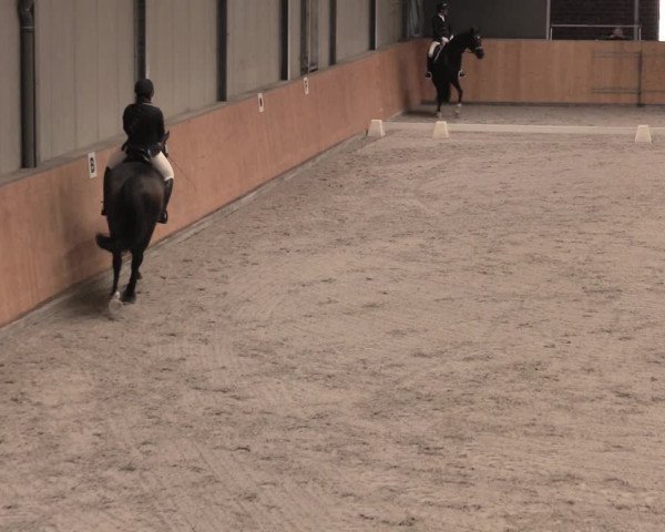 Reitturnier Güstrow/Cavallo Arena 2022