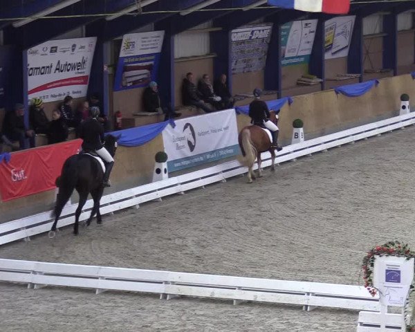 Reitturnier Großenwiehe 2022