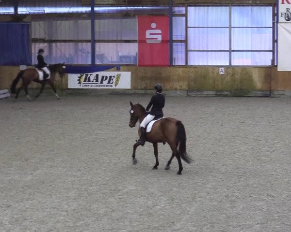 Reitturnier Großenwiehe 2022
