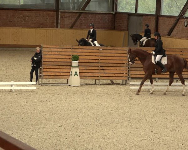 Reitturnier Hamburg-Friedrichshulde/Sylva Kuhrt 2022