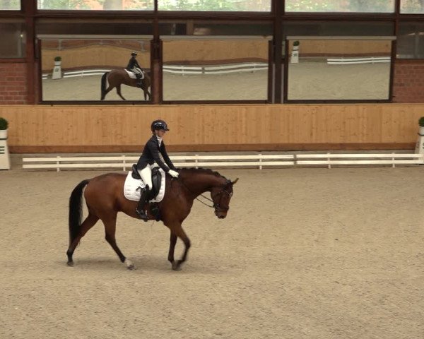 Reitturnier Hamburg-Friedrichshulde/Sylva Kuhrt 2022