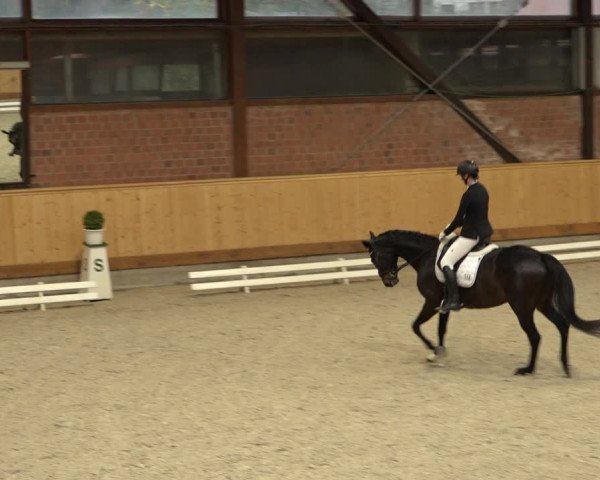 Reitturnier Hamburg-Friedrichshulde/Sylva Kuhrt 2022