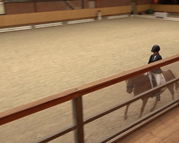 Reitturnier Hamburg-Friedrichshulde/Sylva Kuhrt 2022