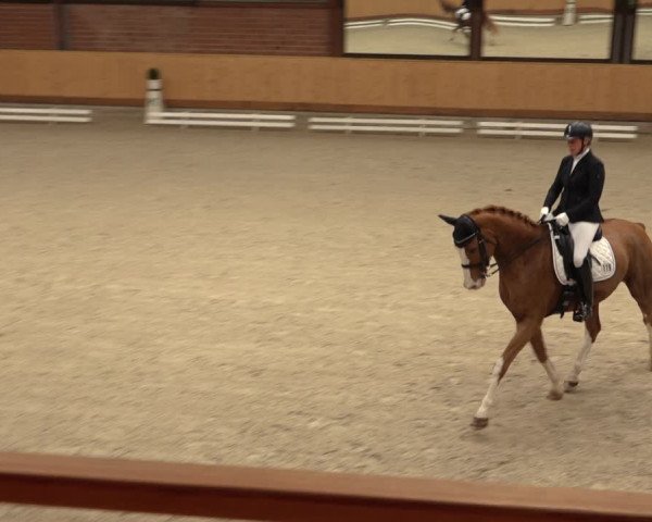 Reitturnier Hamburg-Friedrichshulde/Sylva Kuhrt 2022