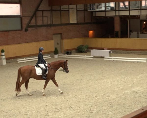Reitturnier Hamburg-Friedrichshulde/Sylva Kuhrt 2022