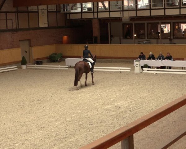 Reitturnier Hamburg-Friedrichshulde/Sylva Kuhrt 2022