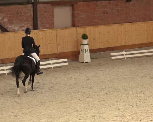 Reitturnier Hamburg-Friedrichshulde/Sylva Kuhrt 2022