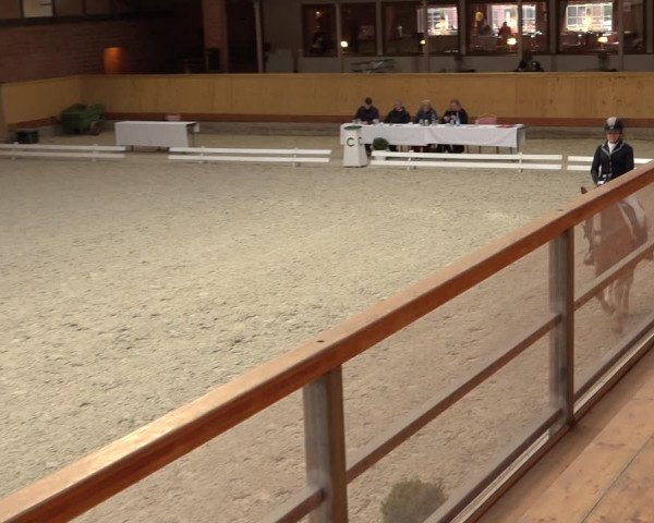Reitturnier Hamburg-Friedrichshulde/Sylva Kuhrt 2022