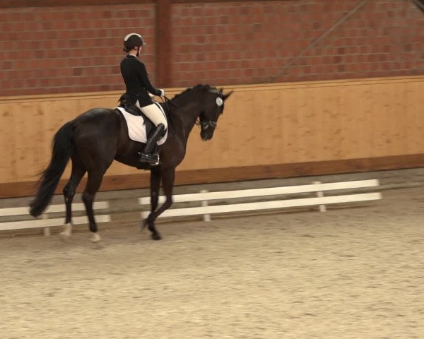 Reitturnier Hamburg-Friedrichshulde/Sylva Kuhrt 2022
