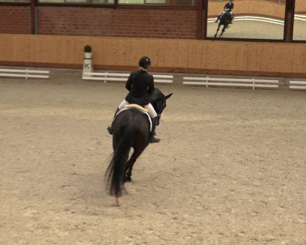 Reitturnier Hamburg-Friedrichshulde/Sylva Kuhrt 2022