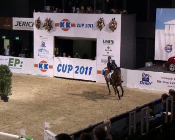 stallion Chairman Ls La Silla (Mexican Riding Horse, 2003, from Fergar Mail)