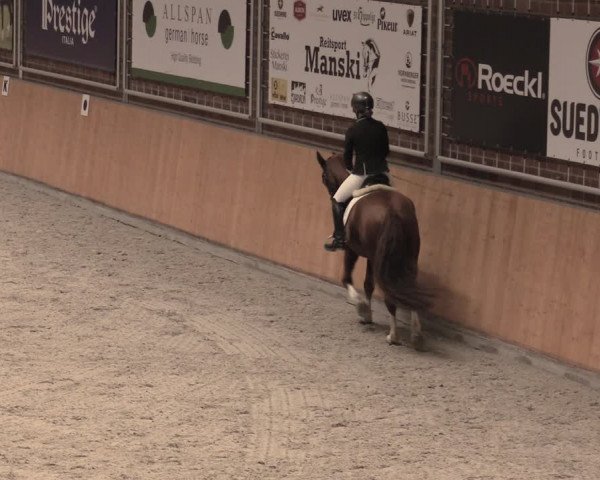 Reitturnier Güstrow/Cavallo Arena 2022