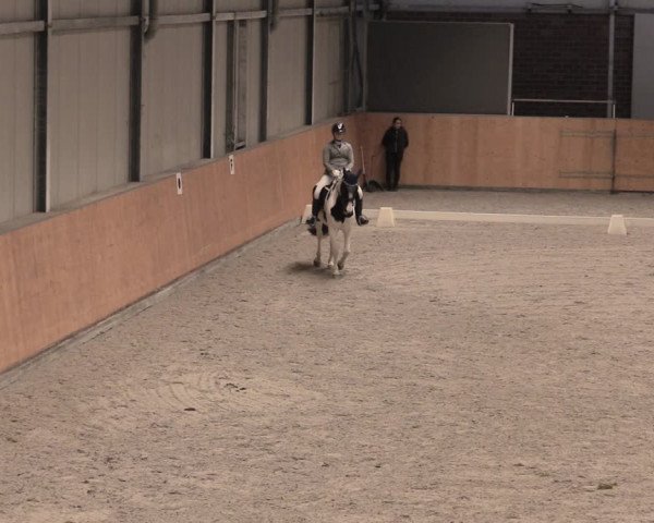 Reitturnier Güstrow/Cavallo Arena 2022