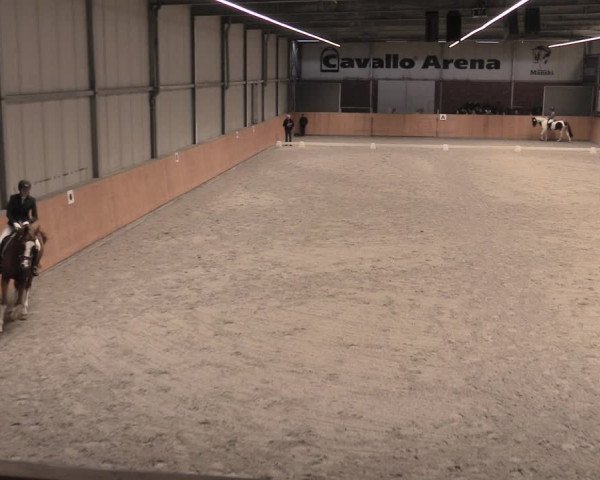 Reitturnier Güstrow/Cavallo Arena 2022