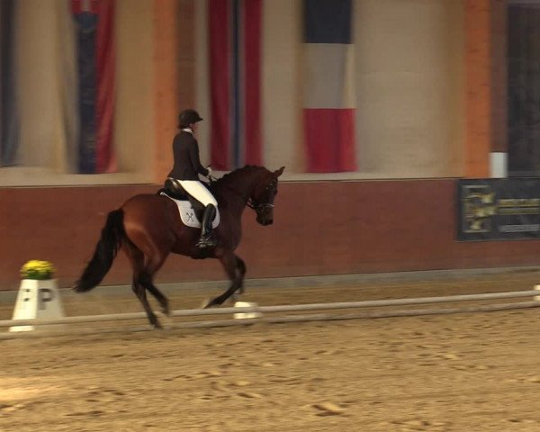 Reitturnier Weikersdorf am Steinfelde 2022