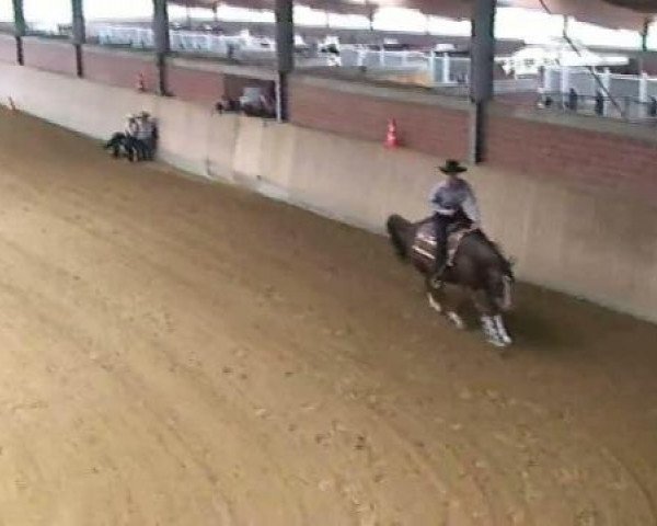 Deckhengst Custom Wrangler (Quarter Horse, 1999, von Custom Crome)