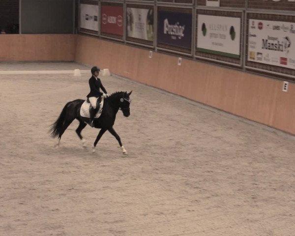 Reitturnier Güstrow/Cavallo Arena 2022