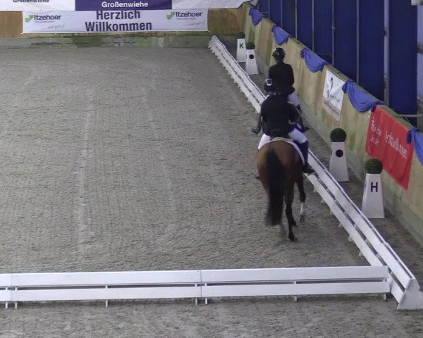 Reitturnier Großenwiehe 2022