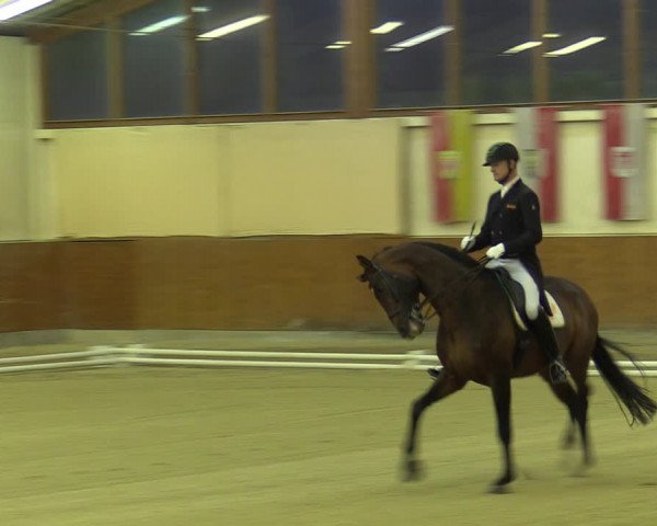 Reitturnier Weikersdorf am Steinfelde 2022