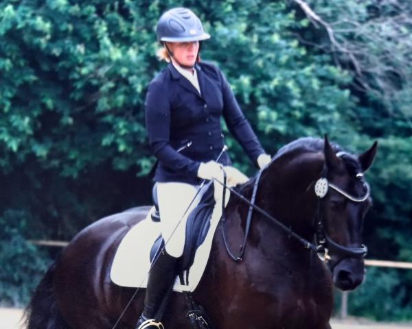 Chovná klisna Marie S 2 (Fríský kůň, 2012, od Olivier van Erve Poortstad)