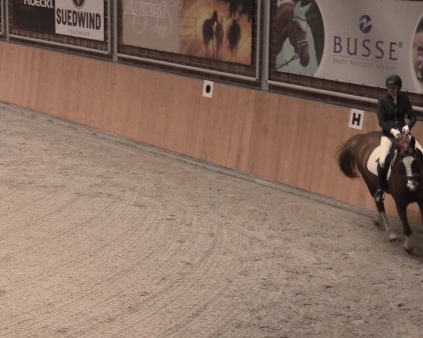 Reitturnier Güstrow/Cavallo Arena 2022