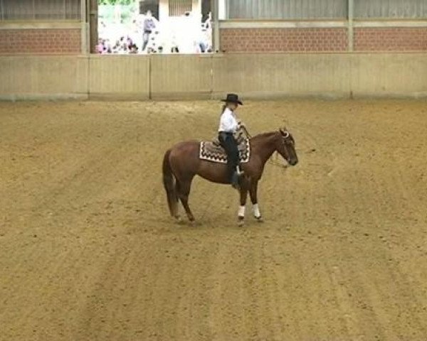Pferd Sheza Custom Crome (Quarter Horse, 2005, von Custom Crome)