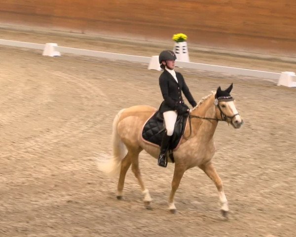 Reitturnier Rüti 2022