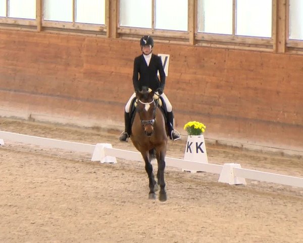 Reitturnier Rüti 2022