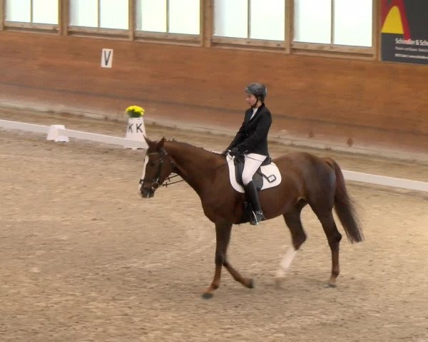 Reitturnier Rüti 2022