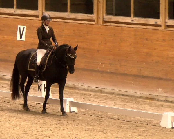 Reitturnier Rüti 2022